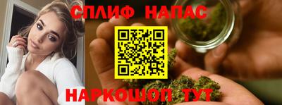 ешки Моздок