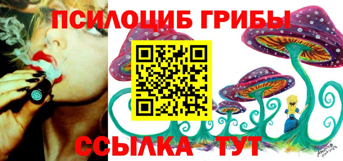 Псилоцибиновые грибы Psilocybe Бугуруслан